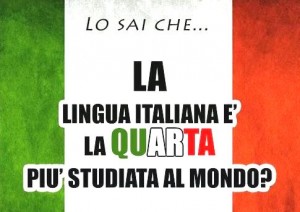 31508-linguadante44