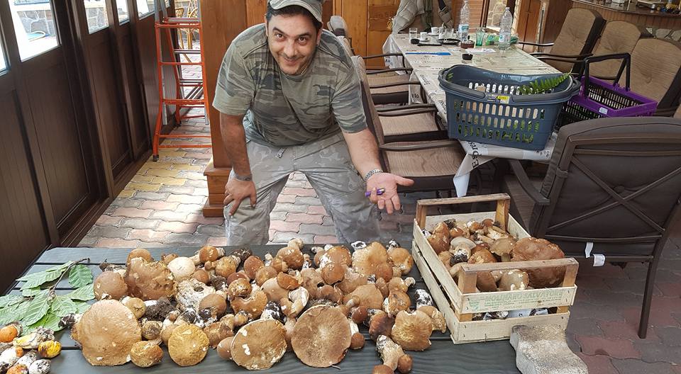 Funghi, che passione! Ecco come scegliere i migliori