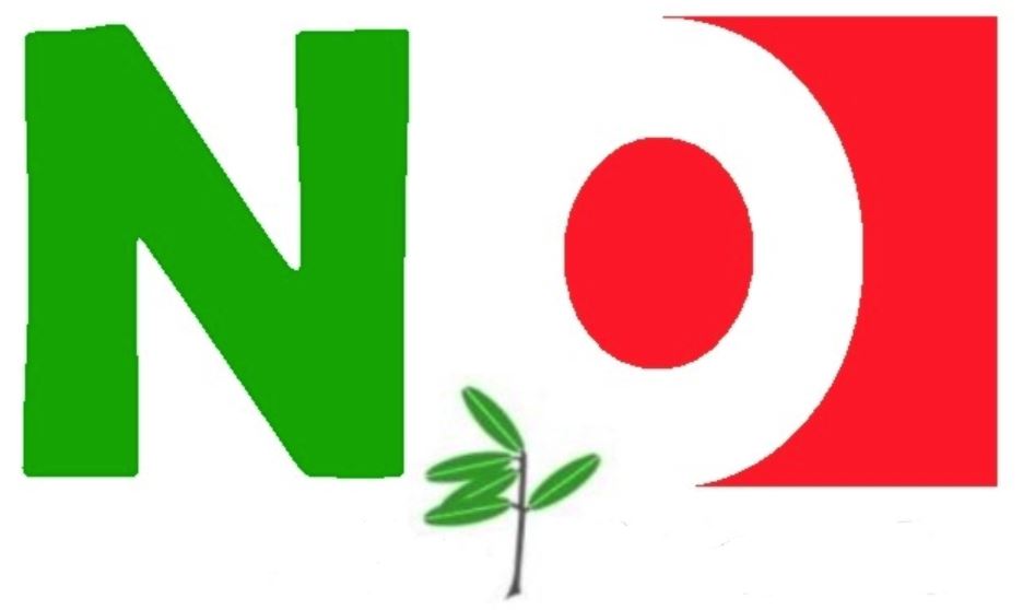 Referendum e italiani all’estero, presidente Pd Canada vota No: “Riforma pasticciata”