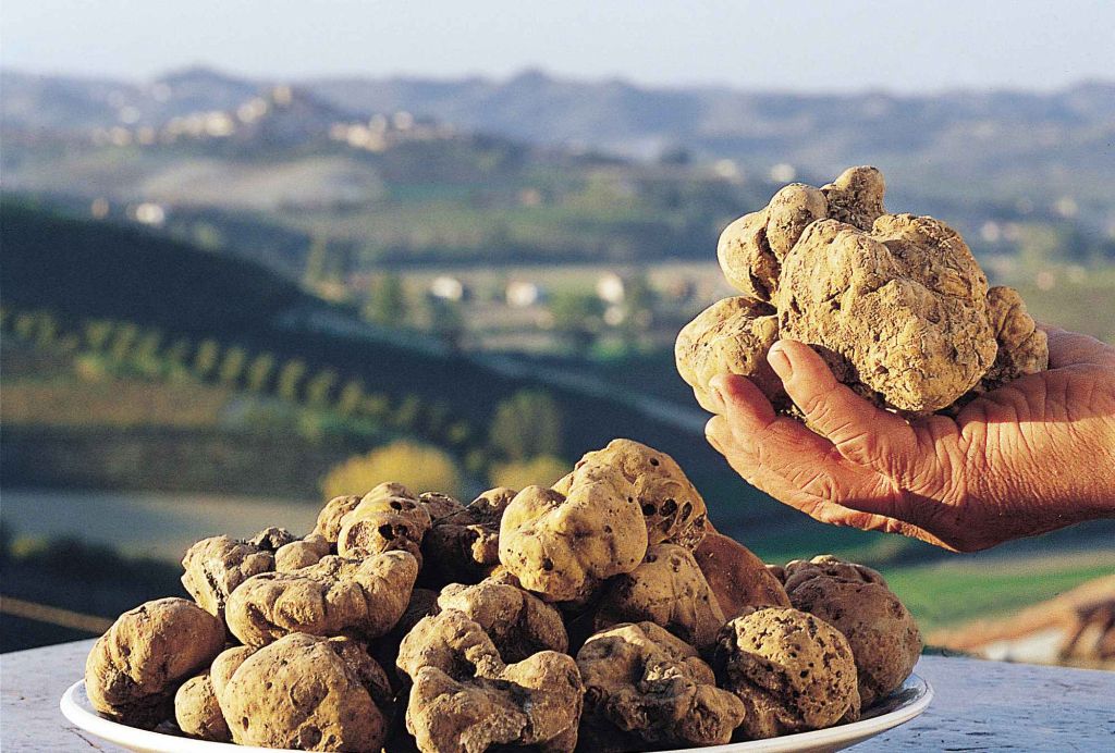 Quella pazza voglia di Langhe e tartufi