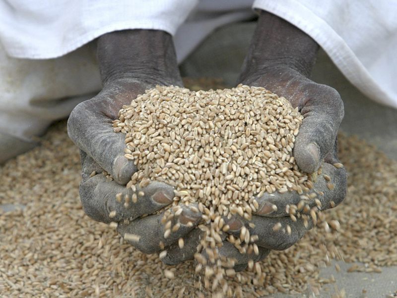 Lotta alla fame nel mondo, due accordi tra Italia e FAO