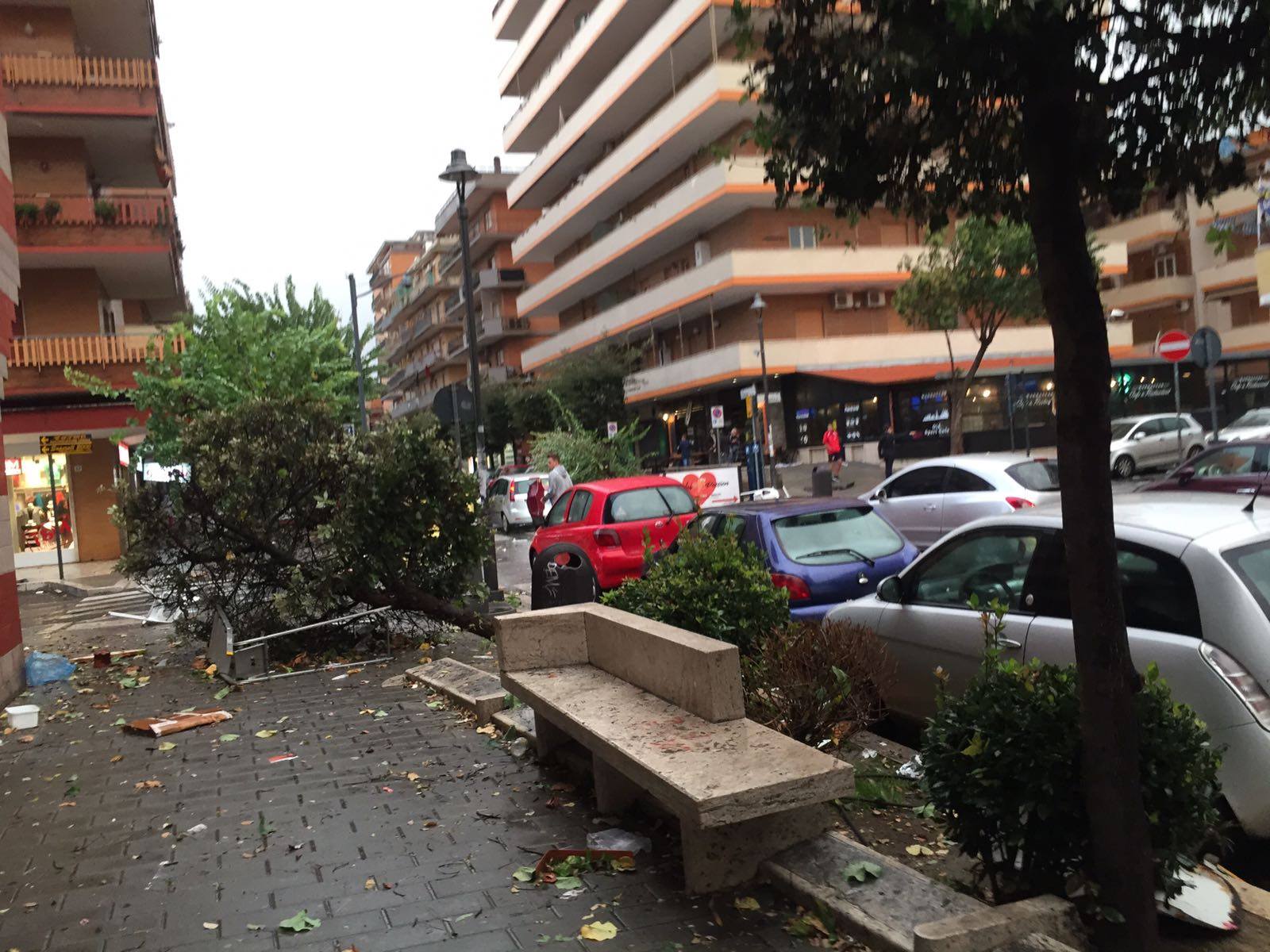 Tromba d’aria a Ladispoli, sindaco chiede stato calamità naturale [FOTO e VIDEO]