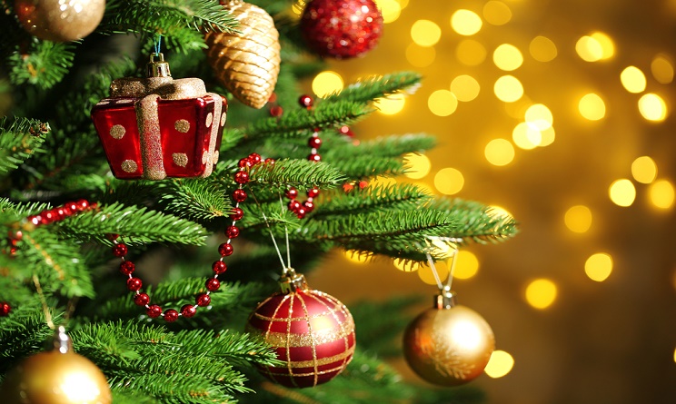 Assisi, albero di Natale e Presepe dedicati ai terremotati