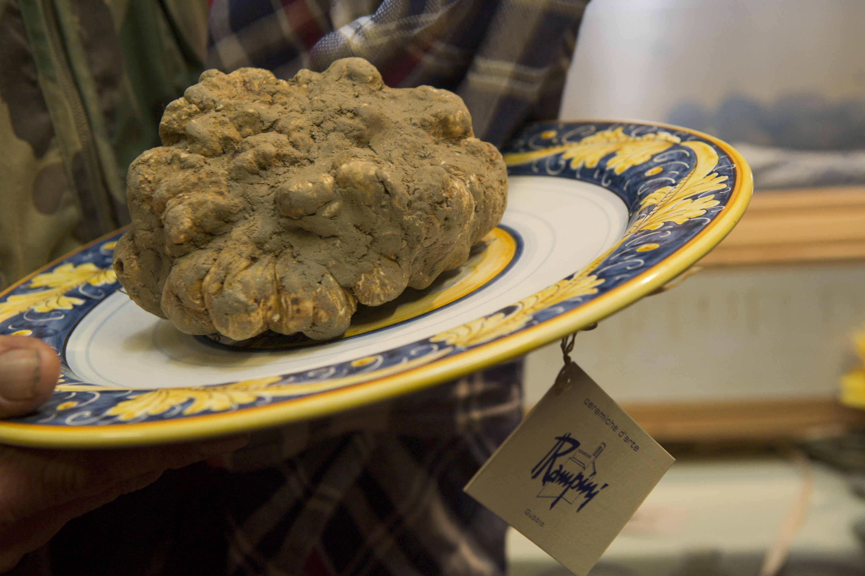 A Paolo Monti un tartufo di mezzo chilo al prezzo di 6.600 euro