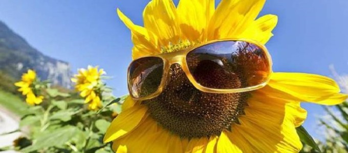 Meteo, sole sull’Italia ma pioggia tra venerdì e sabato