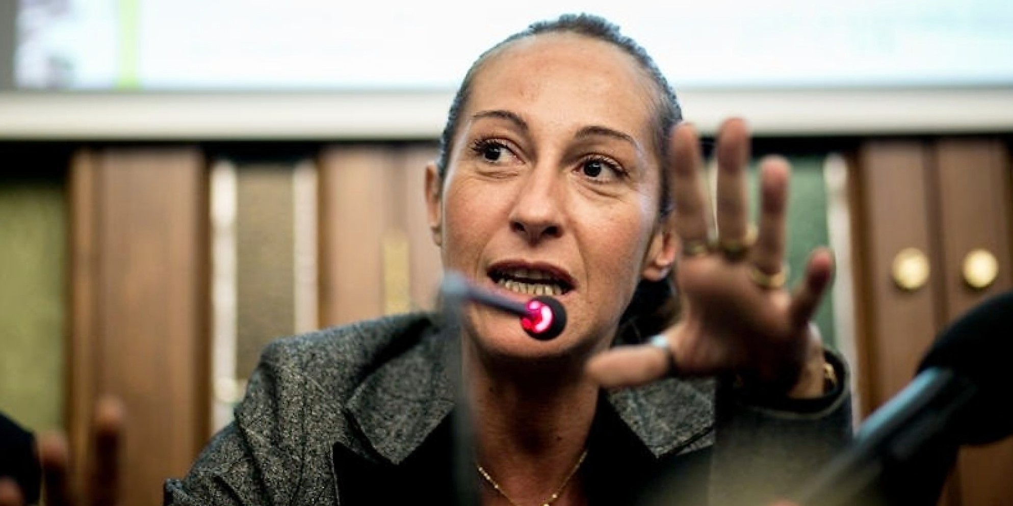 Paola Taverna, “contro Virginia Raggi accanimento senza precedenti”