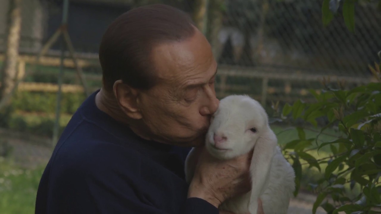 Pasqua, Berlusconi adotta e salva 5 agnellini [VIDEO] ma scoppia la polemica