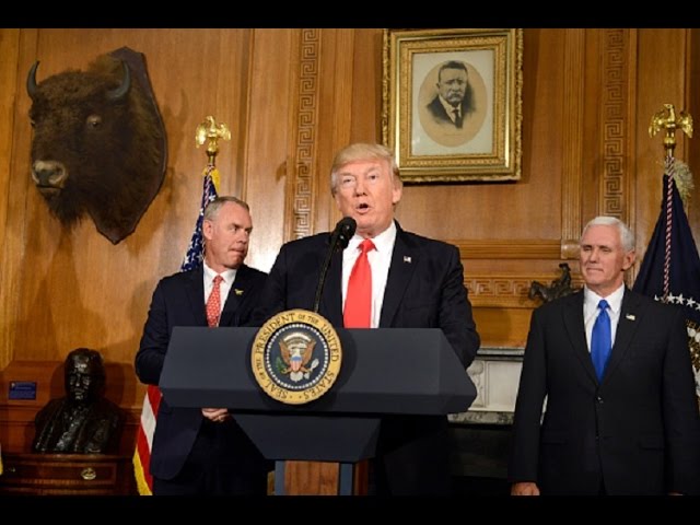 Usa, Trump contro le tasse e Wall Street vola. Ecco la riforma fiscale punto per punto [VIDEO]