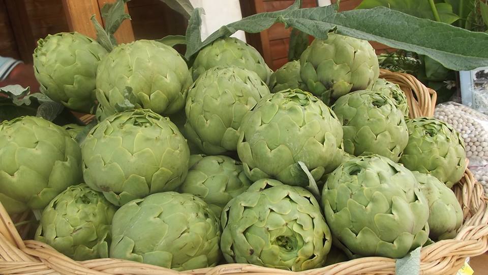 A Pertosa nel fine settimana il carciofo bianco è protagonista