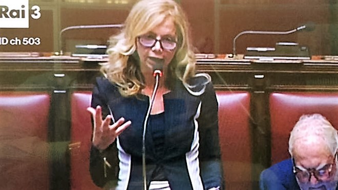 Nissoli, “potenziare Rai Italia per migliorare immagine del Paese all’estero”
