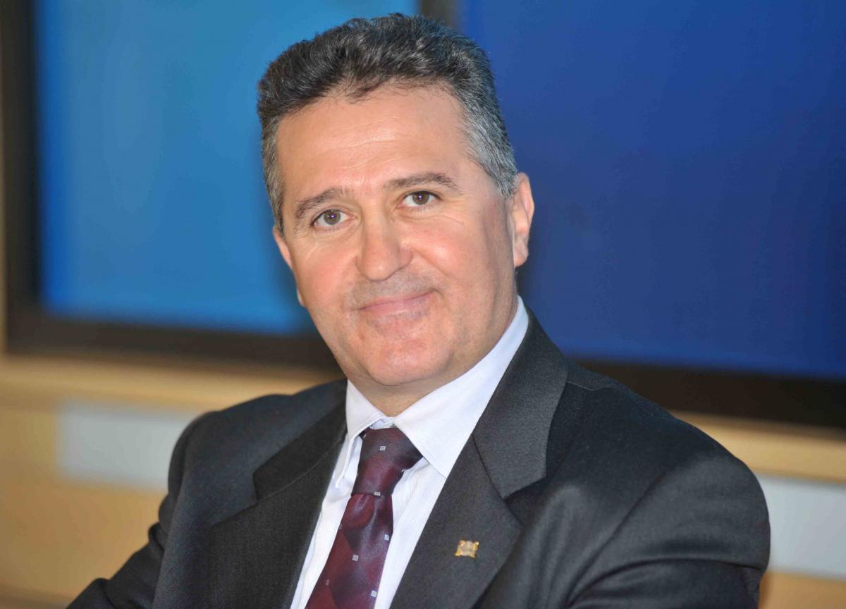 Randagismo, Figliomeni (Fdi): “Intervenire a favore degli amici a quattro zampe”