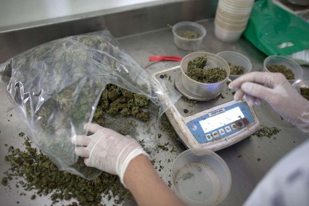 Cannabis legale, stralciata la parte terapeutica