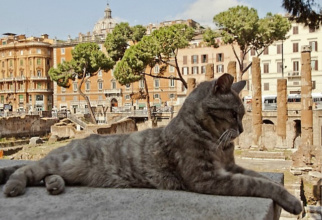 “Roma diventi una città pet friendly”