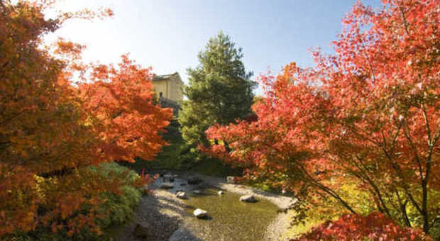 Fioriture e frutti d’autunno ai Giardini di Sissi
