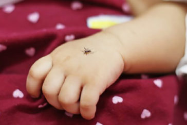 Bimba morta per malaria, “in Italia ci sono le zanzare anofele”