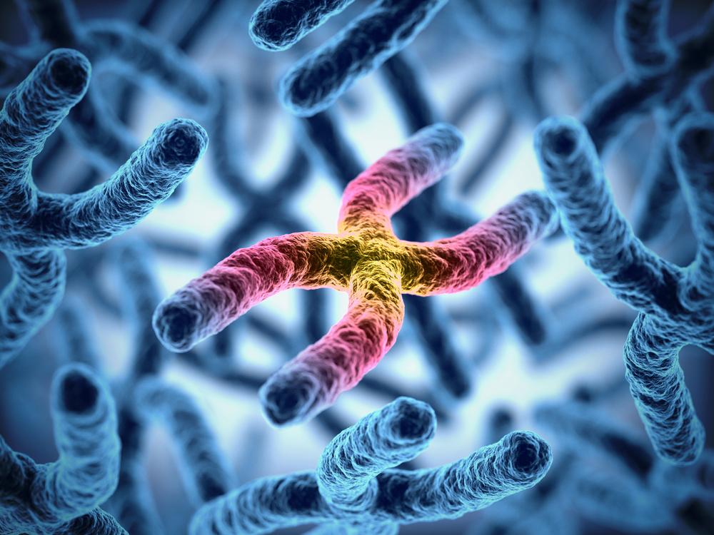 Malattie genetiche ereditarie, l’analisi preimpianto diventa “su misura”