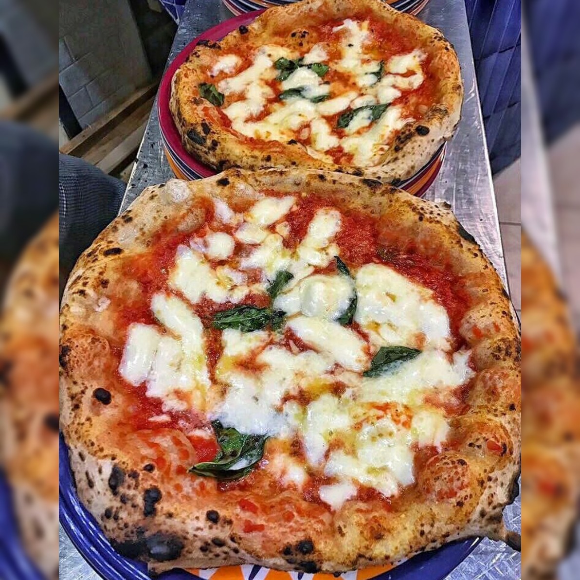 Napoli, pizza gratis per tutti a Piazza del Gesù il 14 dicembre