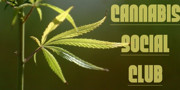 Cannabis legale, Canapub di Monterotondo dato alle fiamme: “Hanno cercato di metterci in ginocchio”