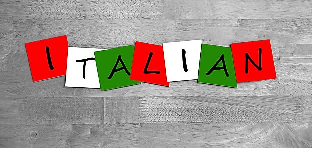 Lingua italiana nel mondo, Tavoni (ICoN) al CGIE: “Collaboriamo per far conoscere la nostra cultura”