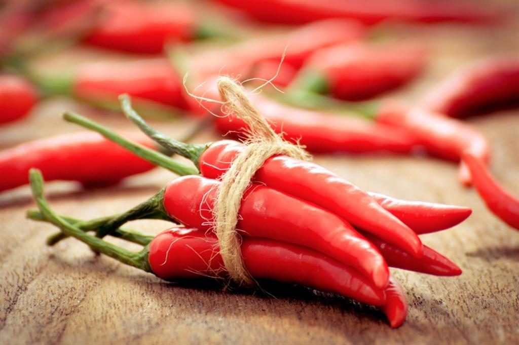 “Omaggio a Frida” fa il pieno di visitatori al Peperoncino Festival di Diamante in Calabria