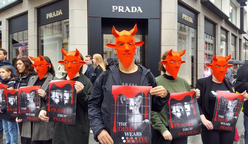 Prada sotto attacco per le sue pellicce animali