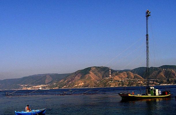 Nuovo report di Greenpeace: “La pesca nelle aree di riproduzione dello Stretto di Sicilia è fuori controllo”