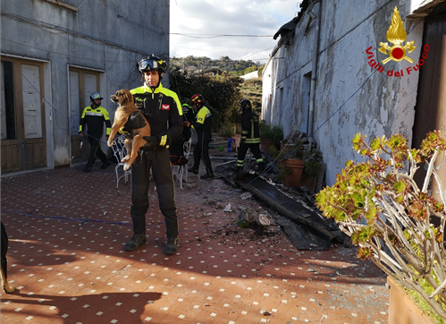 Terremoto nel Catanese, salvati tre cuccioli di cane