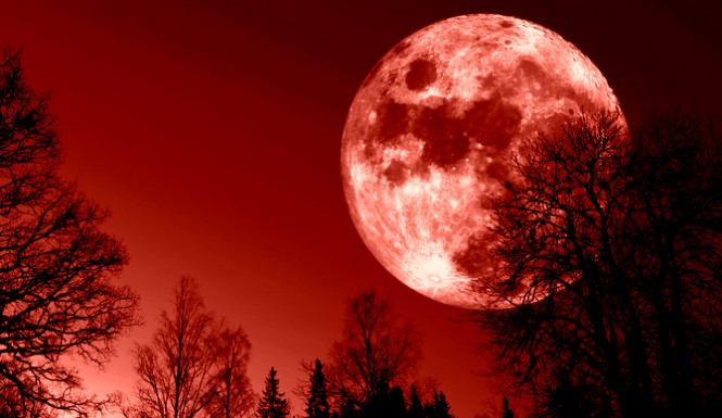 DA NON PERDERE | Super Luna di Sangue, tra poche ore l’eclissi totale