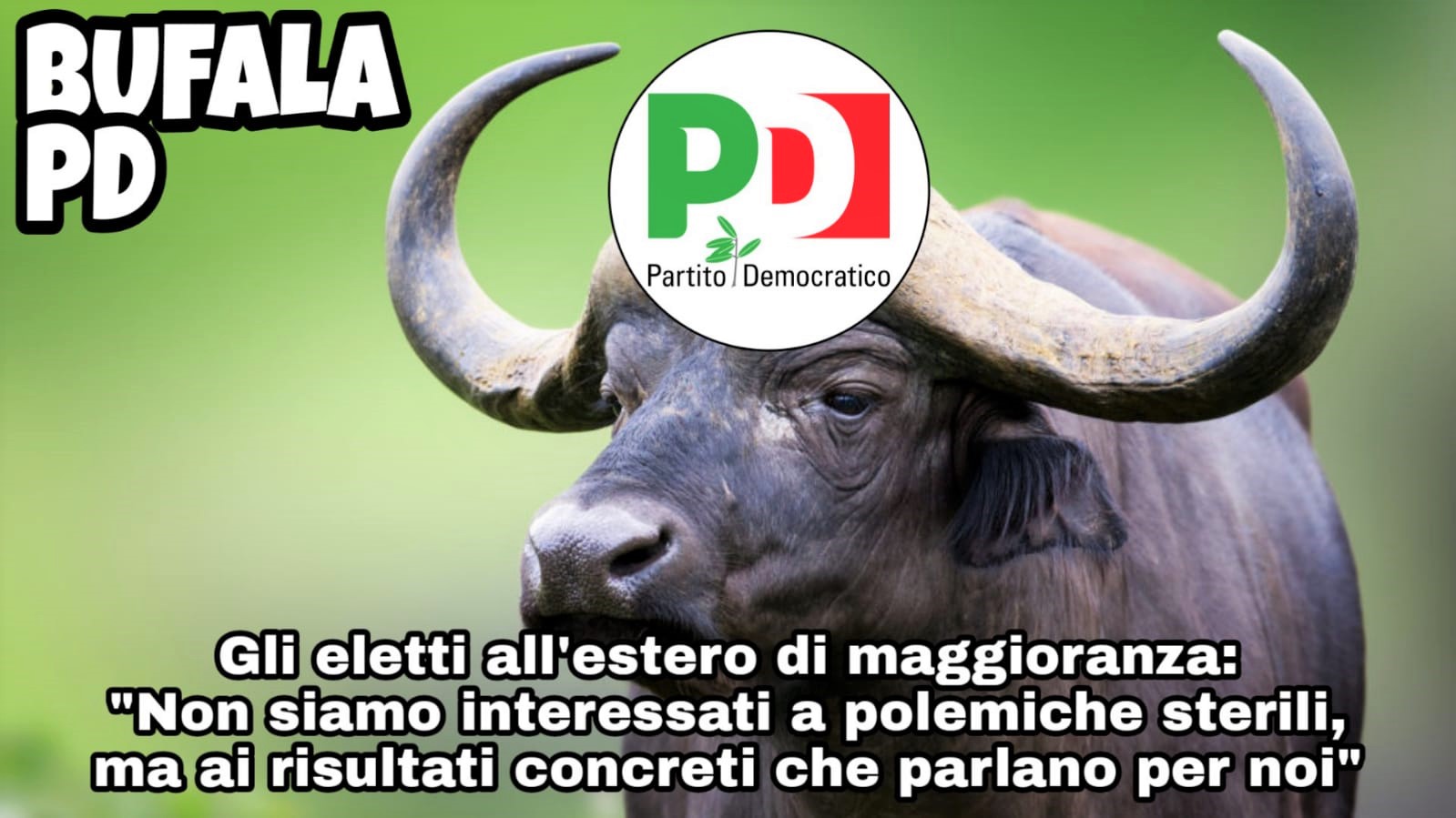 Finanziamenti a Comites e CGIE, gli eletti all’estero di maggioranza: “La bufala del Pd sui tagli”