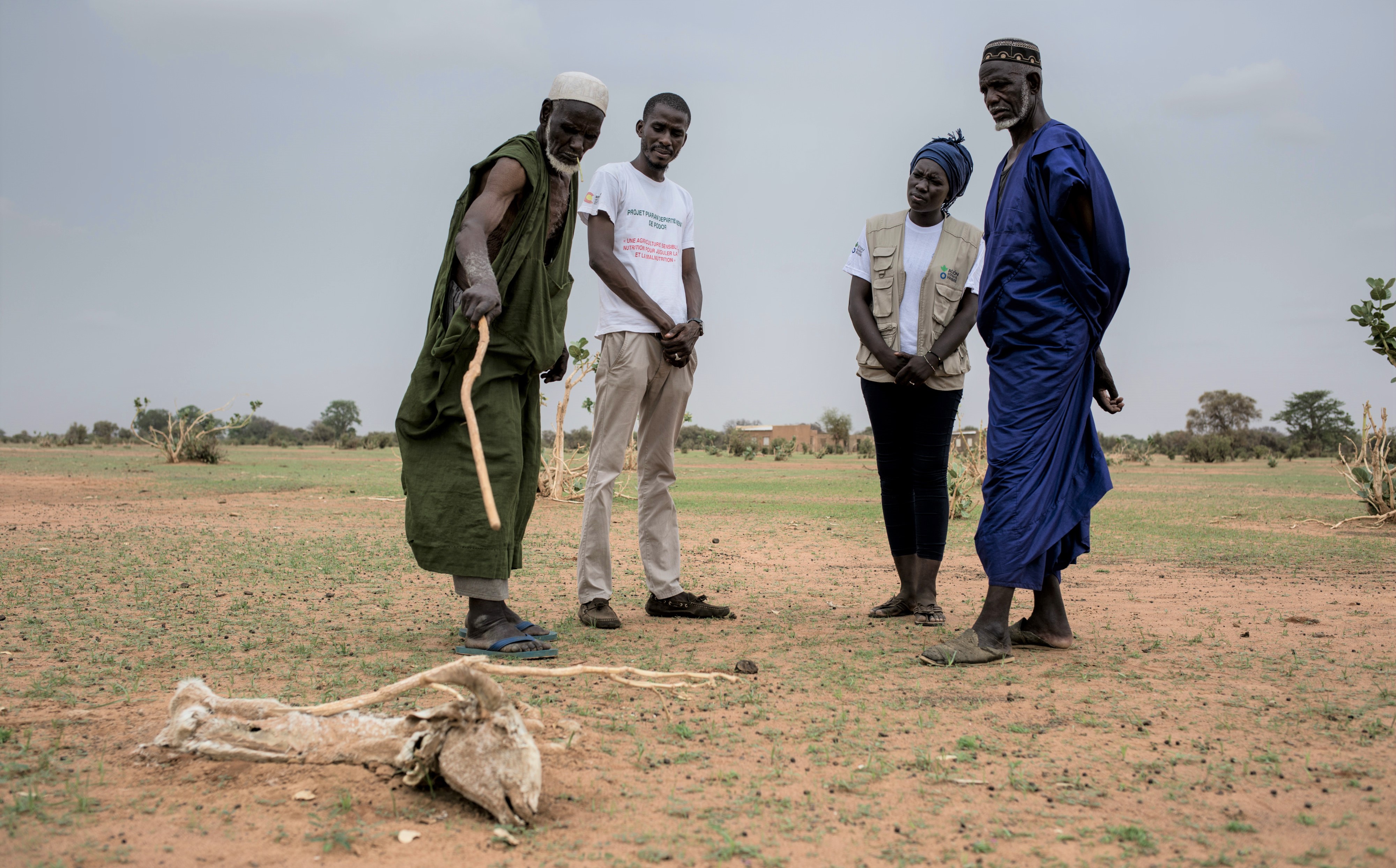 Sahel, nel 2019 11 milioni di persone soffriranno la fame