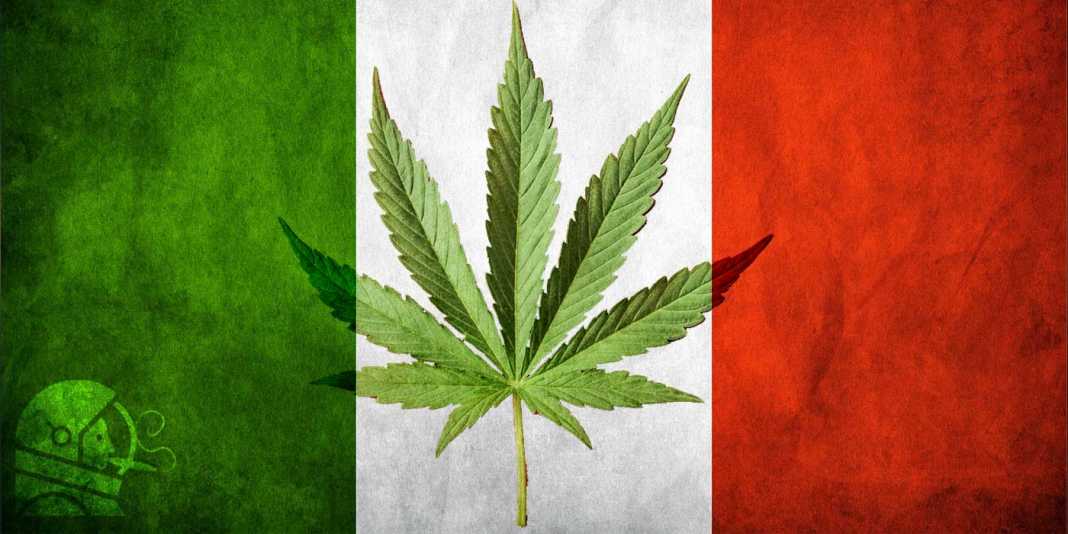 DROGA | Un proibizionismo legalmente incostituzionale