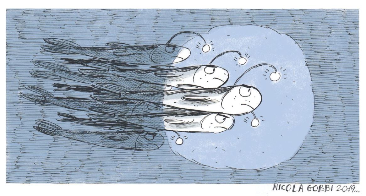 Sardine in politica. Non sarebbe meglio in cucina?