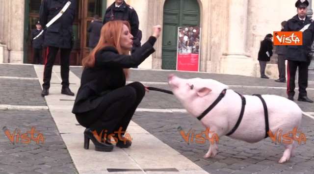 ANIMALISTI | Michela Brambilla davanti Montecitorio con un maialino rosa [VIDEO]
