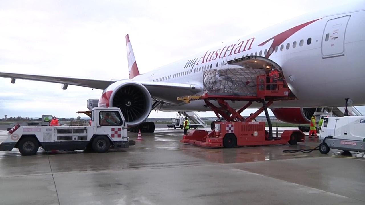 CORONAVIRUS | Atterrato a Fiumicino aereo con 2mln e 600mila mascherine proveniente dalla Cina [VIDEO]