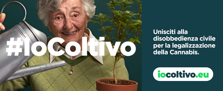 CANNABIS | Radicali: #IoColtivo, piantando un seme chiediamo la legalizzazione della coltivazione per uso personale
