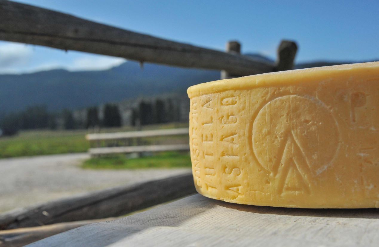 Consorzio Tutela Formaggio Asiago: riapre la stagione estiva dell’alpeggio all’insegna della tutela della biodiversità