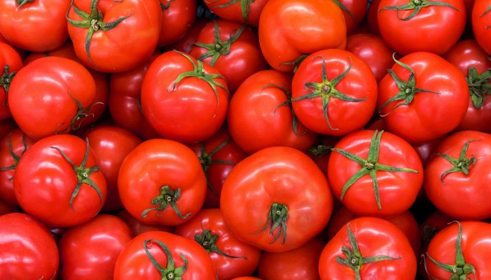 ORO ROSSO | Un accordo per salvare il pomodoro made in Italy