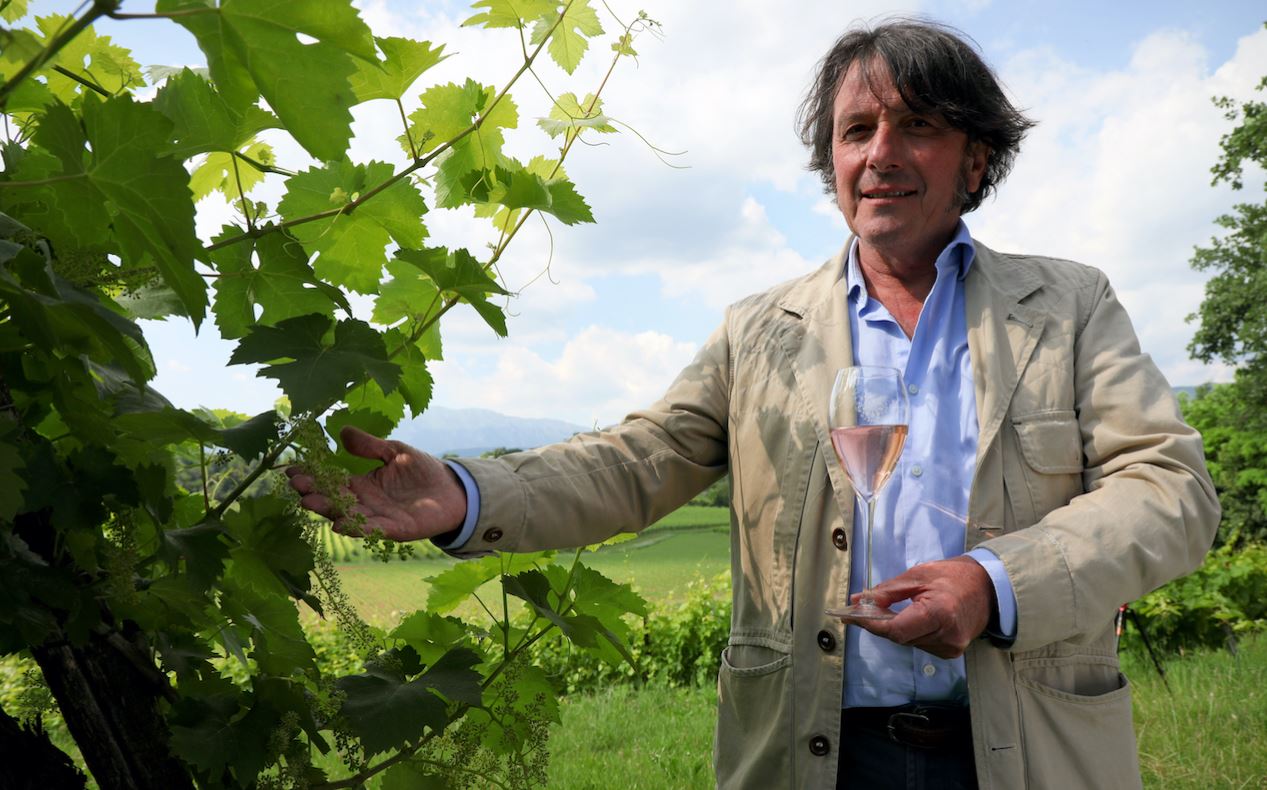 PROSECCO DOC | Sistema produttivo sempre più coeso