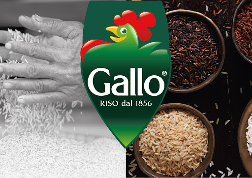 L’OBIETTIVO | Riso Gallo punta al mercato USA e a rafforzarsi in UE