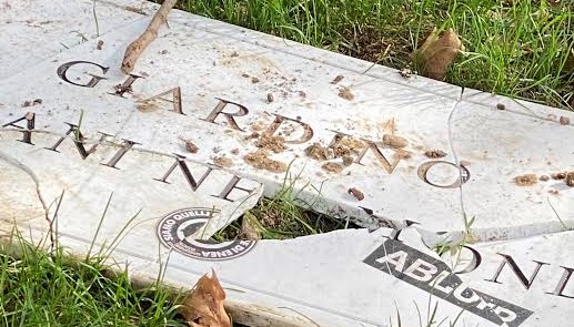 Giardino Italiani nel Mondo, Francesca Alderisi (FI): “Ripristinare al più presto la targa caduta”