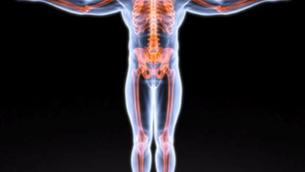 I benefici delle vitamine D3 e K2: toccasana per ossa, sistema cardiovascolare e immunitario