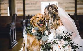 LA NUOVA TENDENZA | All’altare con Fido