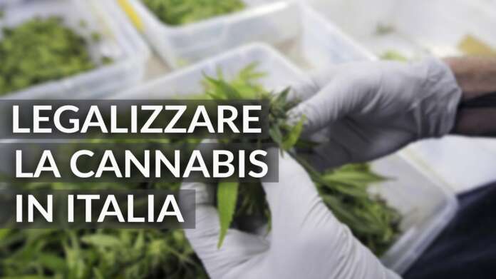 Legalizzare la cannabis