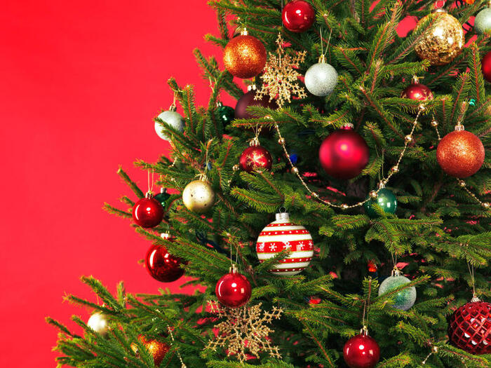L’albero di Natale, tradizione e addobbi
