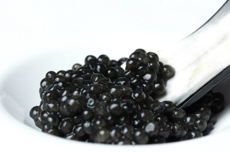 Caviale italiano, eccellenza made in Italy nel mondo