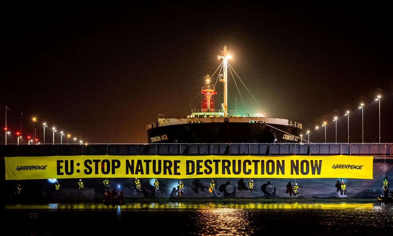 Greenpeace blocca una nave carica di soia destinata a diventare mangime per gli allevamenti