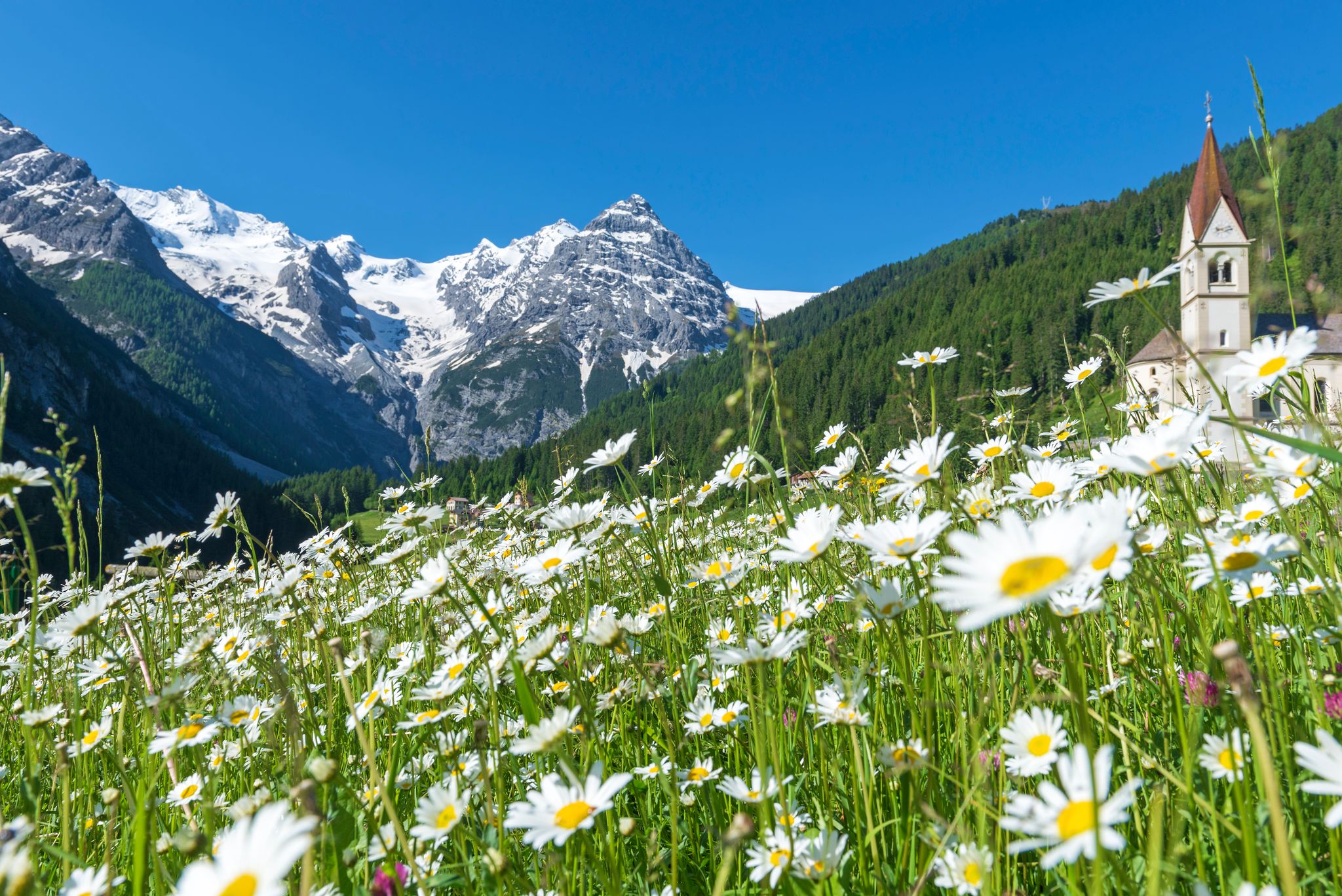 Autunno nel Parco Naturale dello Stelvio: le escursioni per tutta la famiglia