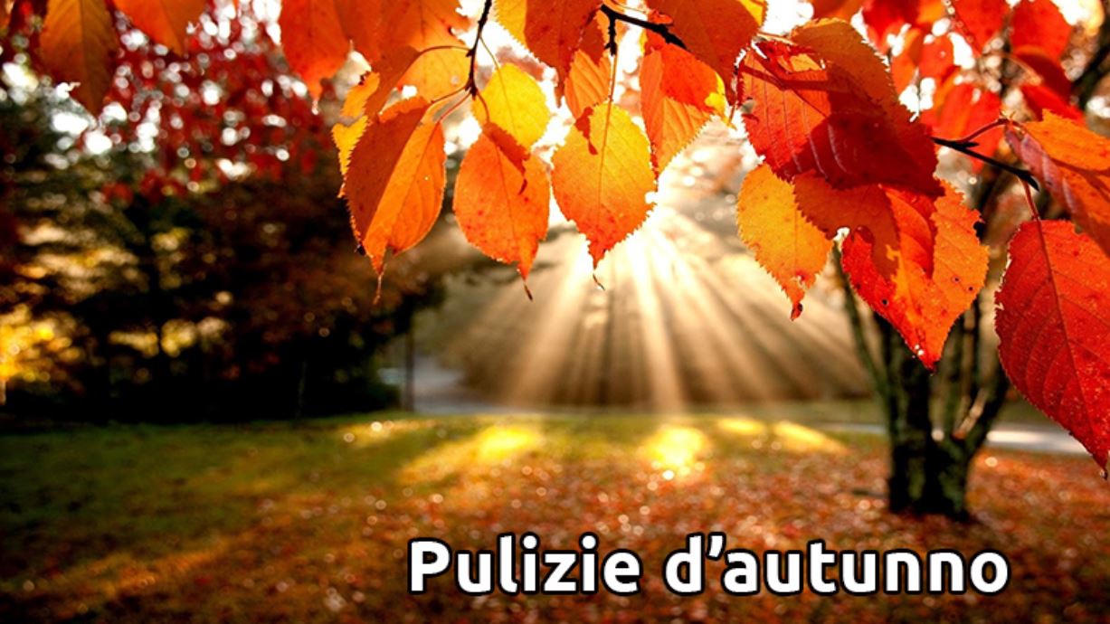 PULIZIE D’AUTUNNO | Gli step indispensabili per l’arrivo della stagione fredda