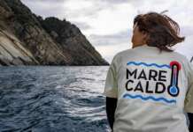 RILEVAZIONI GREENPEACE | “Mare italiano sempre più caldo”