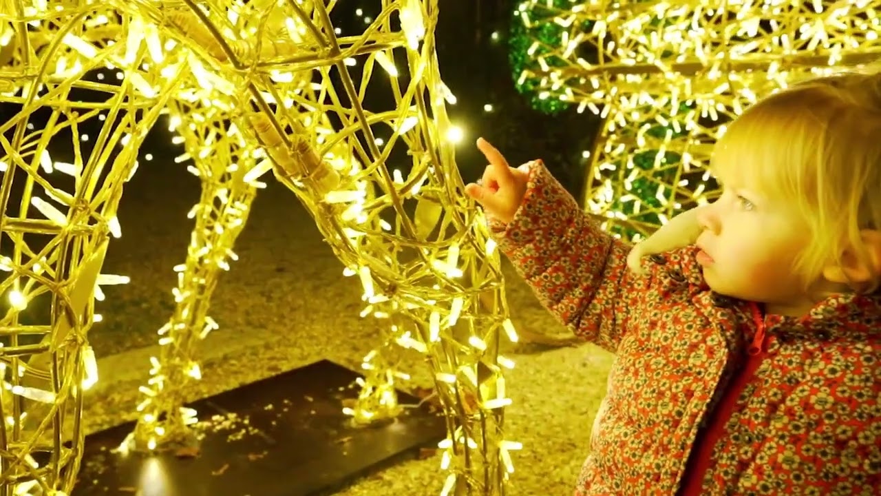 VIDEO | Incanto di luci all’Orto Botanico di Roma